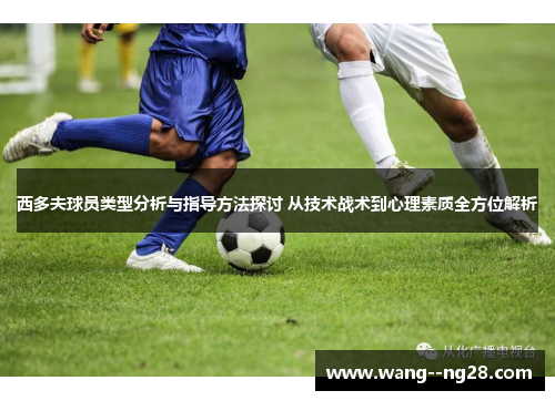 西多夫球员类型分析与指导方法探讨 从技术战术到心理素质全方位解析