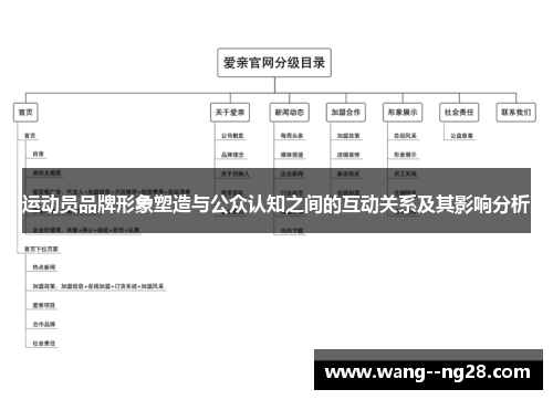 运动员品牌形象塑造与公众认知之间的互动关系及其影响分析