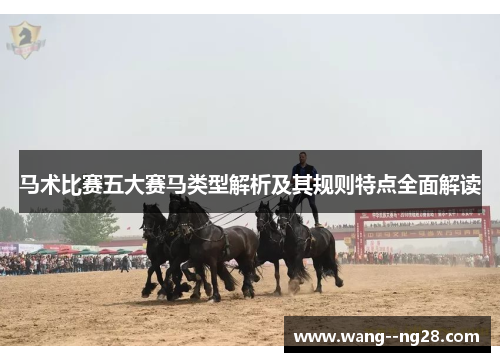 马术比赛五大赛马类型解析及其规则特点全面解读
