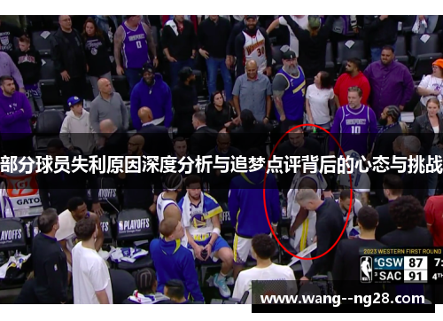 部分球员失利原因深度分析与追梦点评背后的心态与挑战
