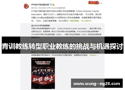 青训教练转型职业教练的挑战与机遇探讨