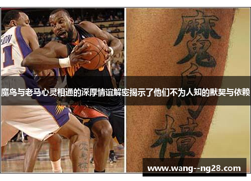 魔鸟与老马心灵相通的深厚情谊解密揭示了他们不为人知的默契与依赖