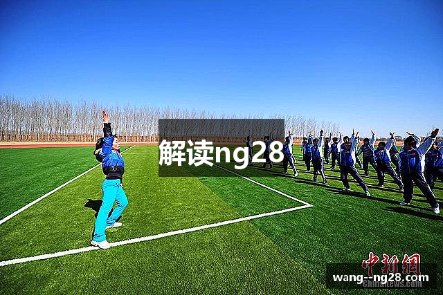 解读ng28